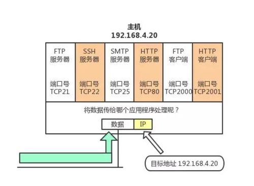菜鳥系列計算機網(wǎng)絡 TCP 與 UDP 協(xié)議深度解析及計算機網(wǎng)絡系統(tǒng)工程實踐